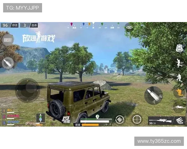 完整解析Kaiyun开云地址登录入口的使用步骤及安全保障措施