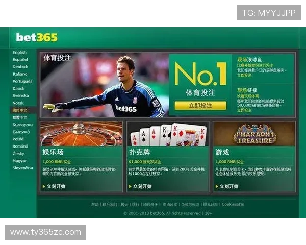 全天候365日博投注实战指南，助您稳步实现投注收益最大化