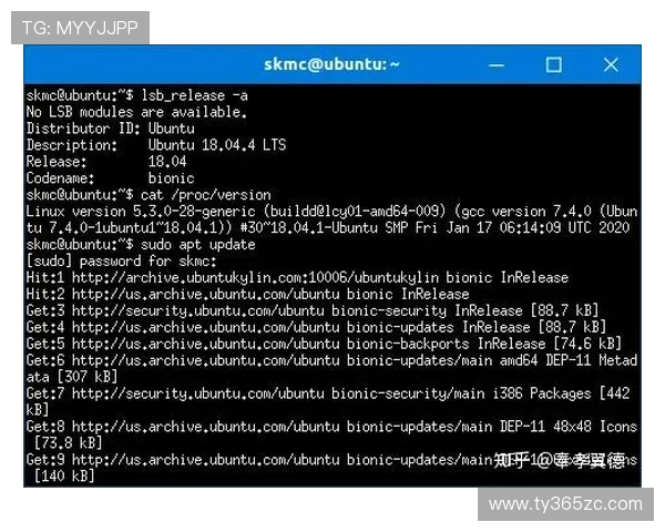 在inbet官网网页版体验专业的赔率分析，让您的每一次投注都更有信心与把握