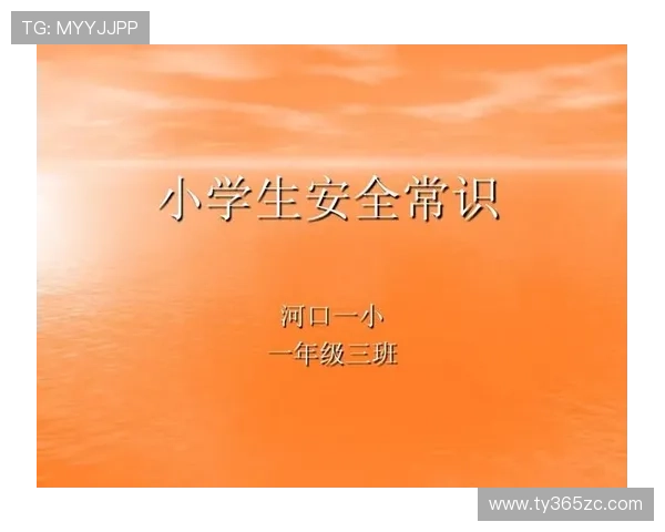 三亿体育备用网址安全登录流程详解,确保您的账号信息安全无忧 三亿体育备用网址安全登录流程详解,确保您的账号信息安全无忧